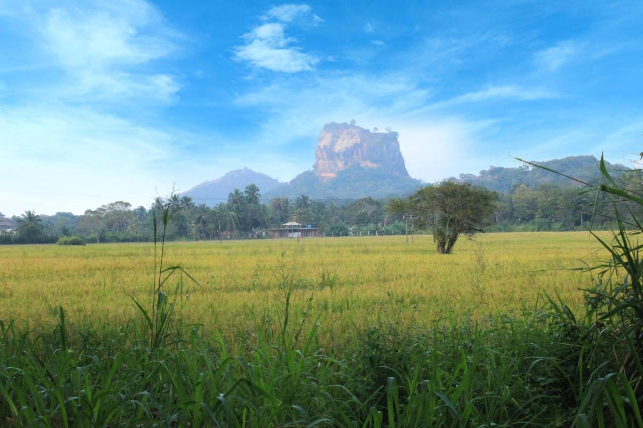 Sigiriya Hillside View Villa Eksteriør billede