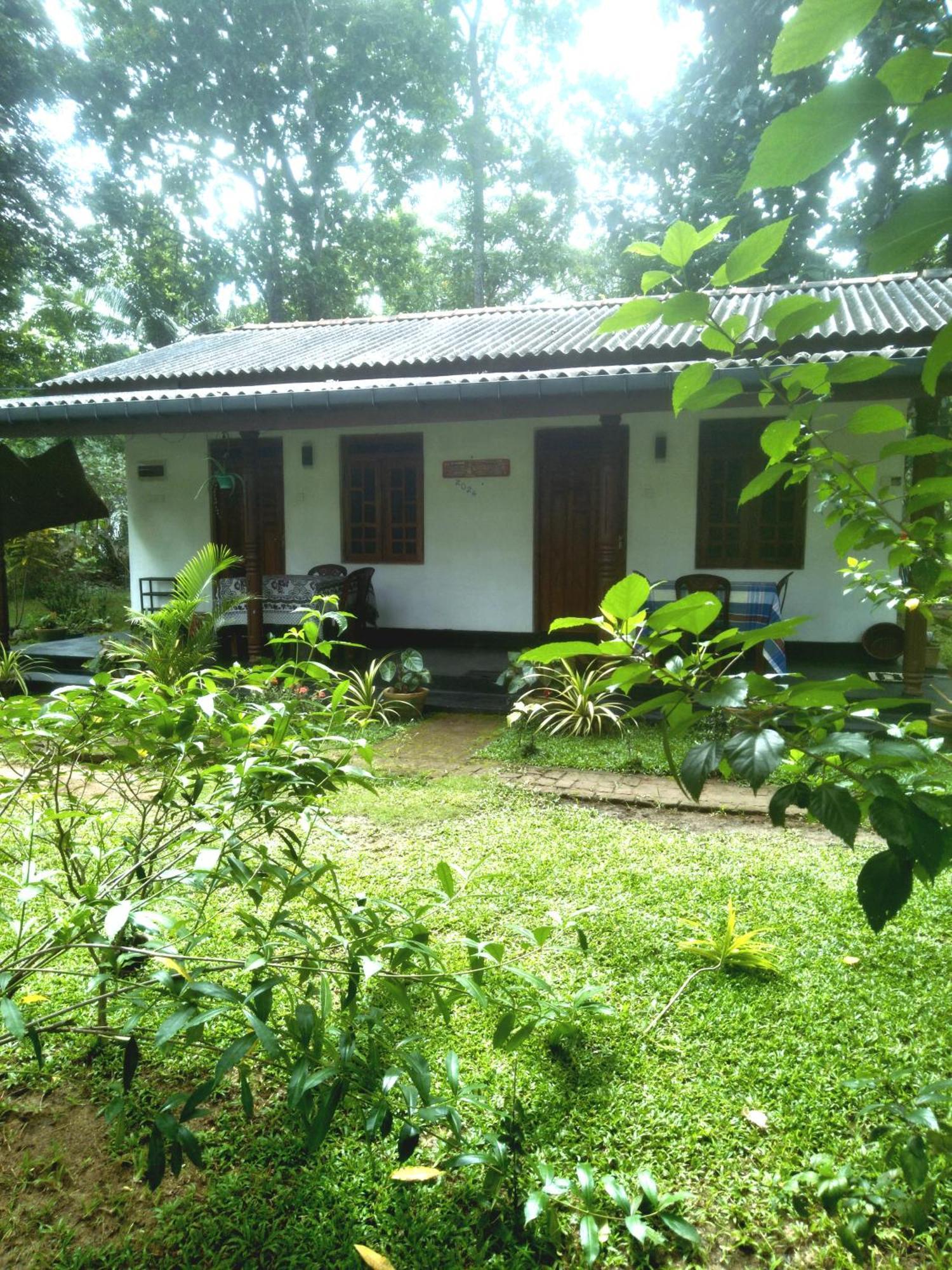 Sigiriya Hillside View Villa Eksteriør billede